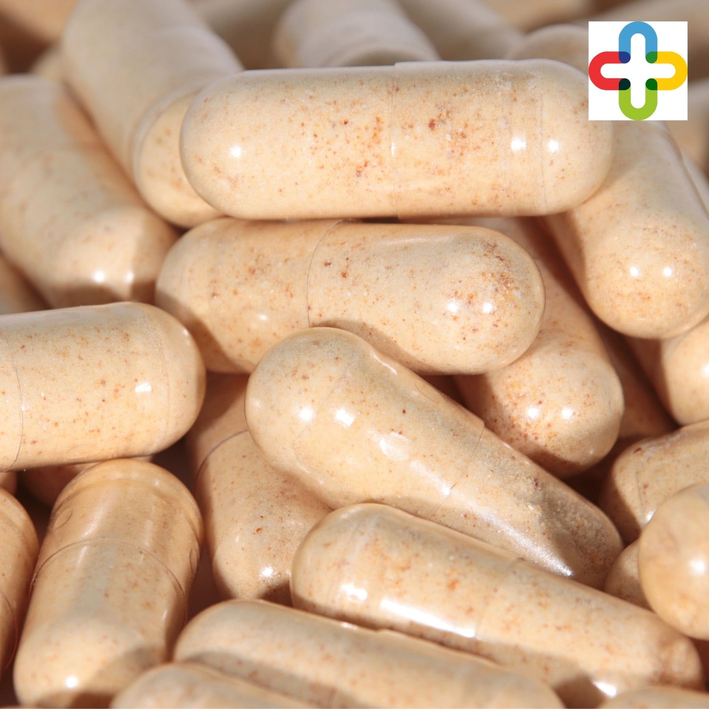 In Vivo Zellbausteine-Aminosäurenkomplex 60 Kapseln